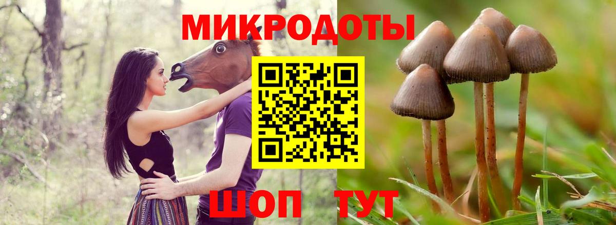 купить  сайты  Вход с VPN  Красный Сулин  Псилоцибиновые грибы GOLDEN TEACHER 