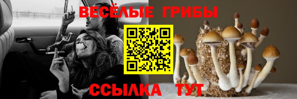 Псилоцибиновые грибы прущие грибы Красный Сулин